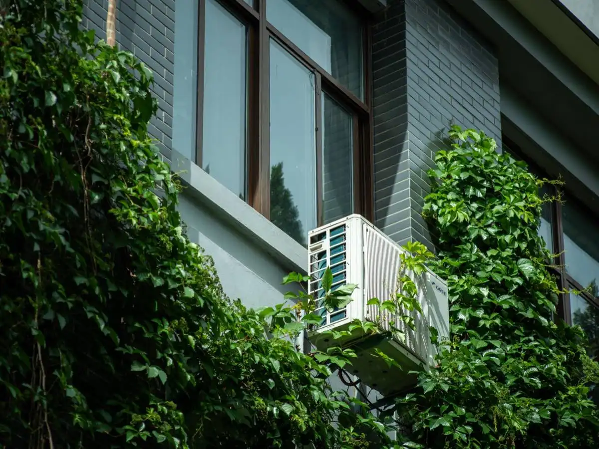 Energy-Efficient Windows and Air Sealing in Bellingham, WA